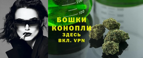 крисы Баксан