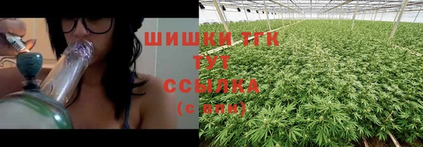 крисы Баксан