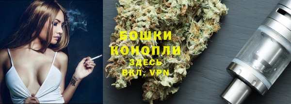 крисы Баксан