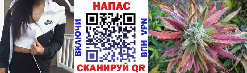 где можно купить   omg ссылка  Бошки марихуана AK-47  сайты даркнета как зайти  Тосно 